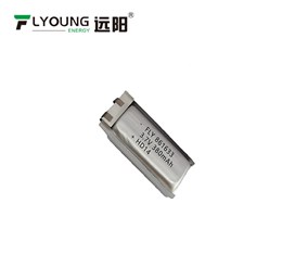 锂电池 FLY 861633