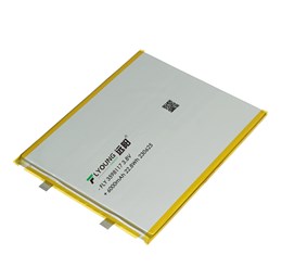 锂电池 FLY 3598117-6000mAh 3.8V