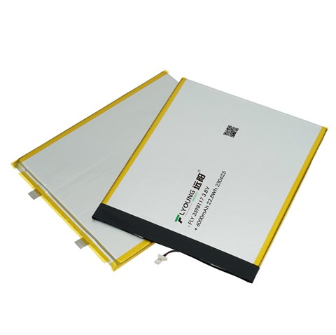 锂电池 FLY 3598117-6000mAh 3.8V