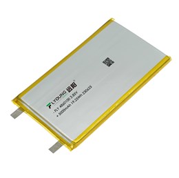 锂电池 FLY 4860100H-5000mAh 3.85V