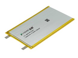 聚合物锂电池有哪些分类？