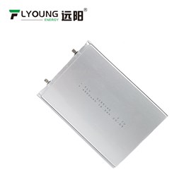 锂电池 FLY 3295140